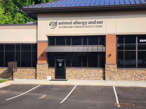 Pet Allergy Specialist Greensboro, NC - Animal Allergy and Ear Clinic